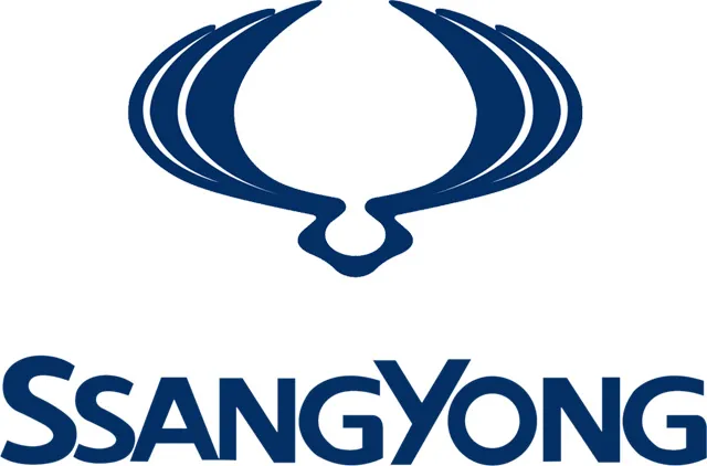 Katalyzátory Ssang Yong